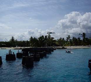 Alte US Militärbasis