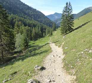Mariandl-Alm - Wiesenpfad
