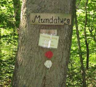 Kleiner Westwallweg bei Schaidt