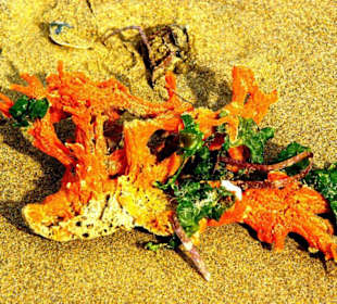 Am Ende von Bibione Yachthafengebiet