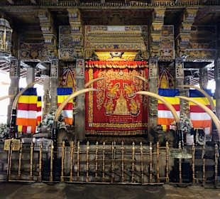 Hochland von Sri Lanka