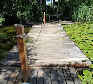 Schwimmbrücke