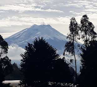 Cotopaxi