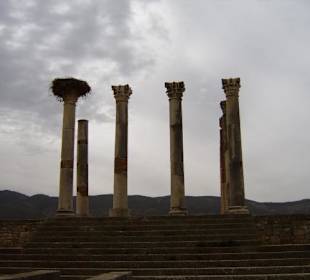 Römerstadt Volubilis