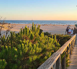 Strand La Barrosa