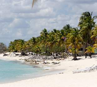 Strand Insel Catalina