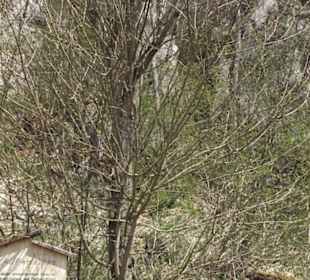 Waldlehrpfad an der Lauter