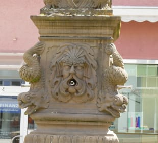 Fleiner Torbrunnen