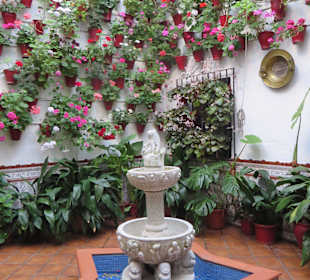 Wunderschöner Patio