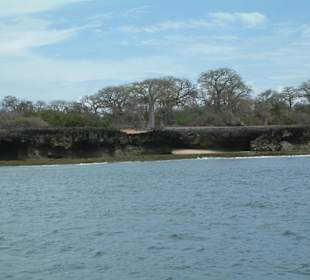 Die Insel