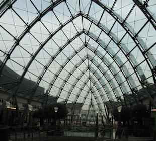 Glasdach im Abendlicht