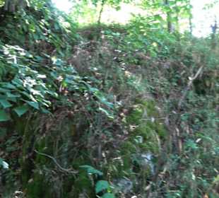 Burgruine Blankenstein