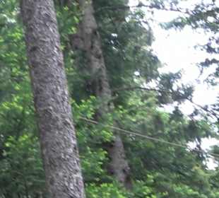 Hochseilgarten Hallwangen