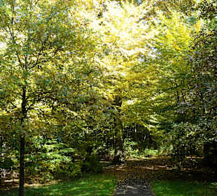 Herbstspaziergang durch den Bürgerpark Bremen