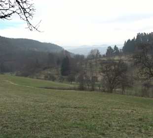 Unterjesinger Wengertwegle