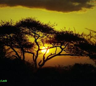 Sonnenuntergang.