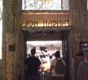Lion Habitat