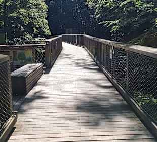 Baumwipfelpfad Prora