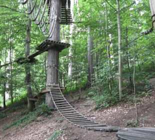 Natur-Hochseilgarten Triberg