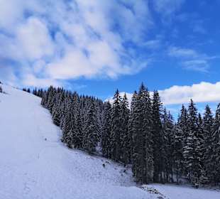 Skifahren