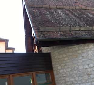 Matthäus-Alber-Haus