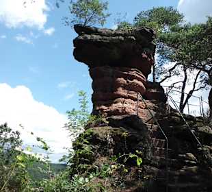Der Mooskopf
