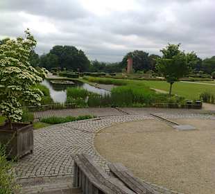 Jardin du fleuriste - Brussels