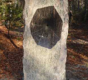 Kunstpark Skulptur-Lichtung