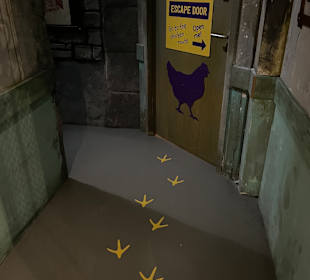 Museum Ripley's Believe It or Not!