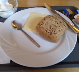 Gastro
