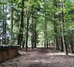Waldweg
