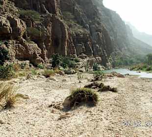 Wadi Tiwi