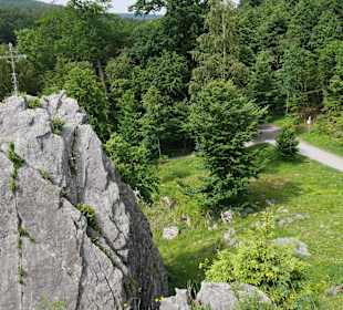 Wildpark Aussichtspunkt