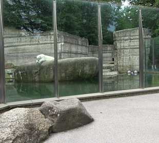 Tierpark Hellabrunn