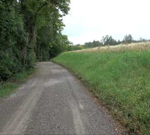 FriedWald Schönbuch