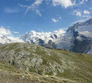 Sicht zu den Alpen