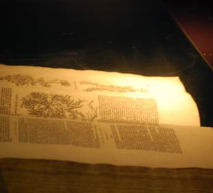Altes Rezeptbuch