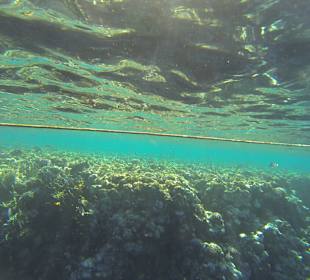 Schnorcheln Marsa Alam