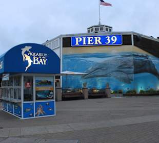 Aquarium Fisherman's Wharf Pier39