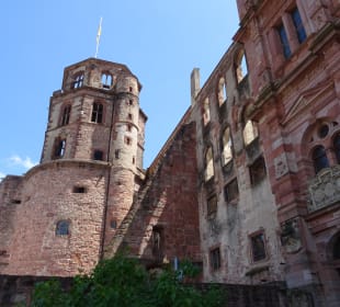 Schloss Ein- und Ausblicke