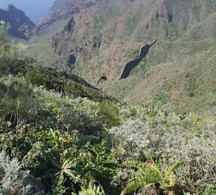 Mirador de Baracan in Buenavista del Norte