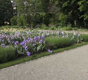 Belvoirpark