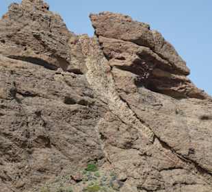 Nationalpark --> Teide