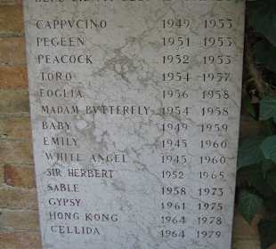 Peggys Hundegrabstein