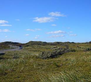 Dünen