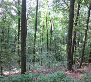 Auf dem Weg zur Landauer Hütte