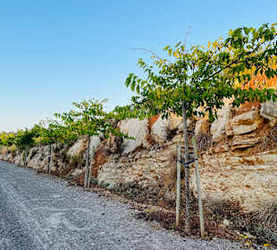 Wanderweg Claper des Gegants Font de sa Cala