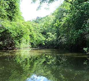 Wandern Cienfuegos