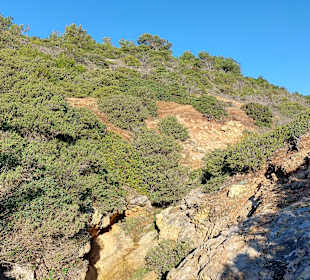 Seven Hanging Valleys Trail 