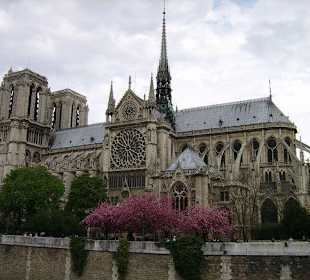 Собор парижской богоматери